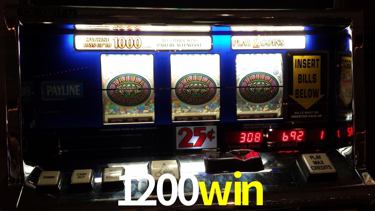 Basketball Betting 1200win